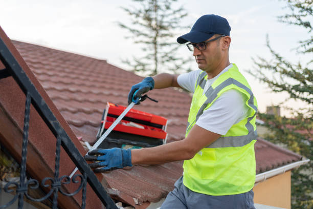 Best Wall Insulation Installation  in Lake Grove, NY